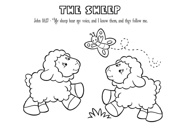 day-19-the-sheep
