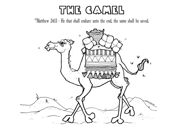 day-24-the-camel